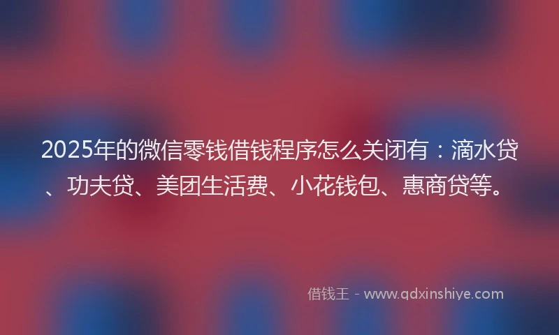 2025年的微信零钱借钱程序怎么关闭有：滴水贷、功夫贷、美团生活费、小花钱包、惠商贷等。