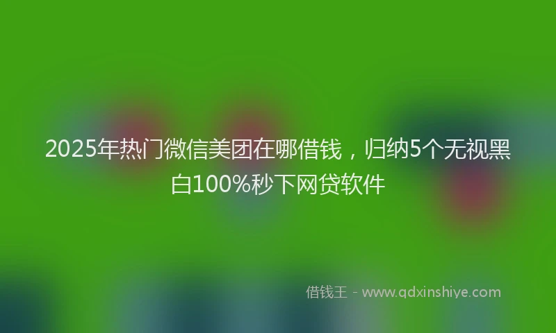 2025年热门微信美团在哪借钱，归纳5个无视黑白100%秒下网贷软件