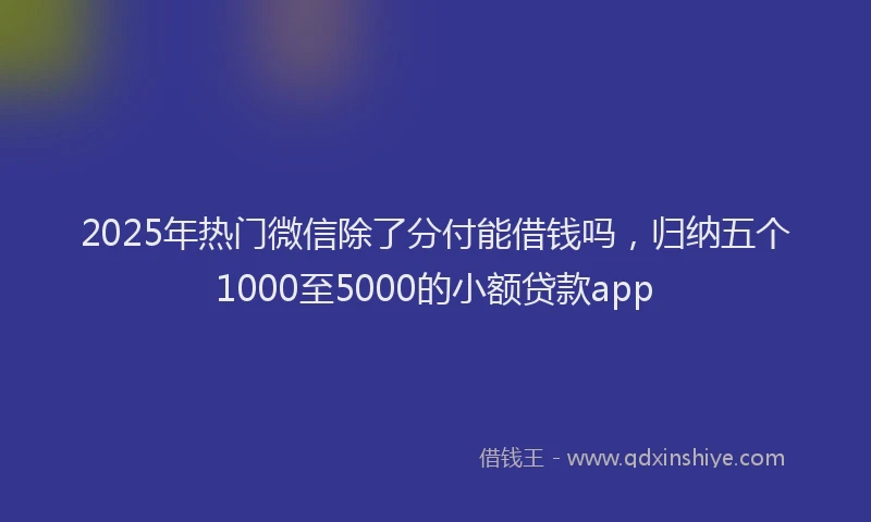 2025年热门微信除了分付能借钱吗，归纳五个1000至5000的小额贷款app