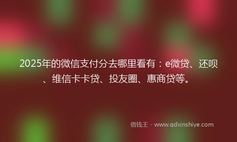 2025年的微信支付分去哪里看有：e微贷、还呗、维信卡卡贷、投友圈、惠商贷等。