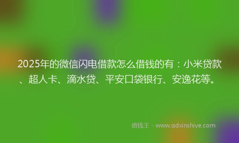 2025年的微信闪电借款怎么借钱的有：小米贷款、超人卡、滴水贷、平安口袋银行、安逸花等。