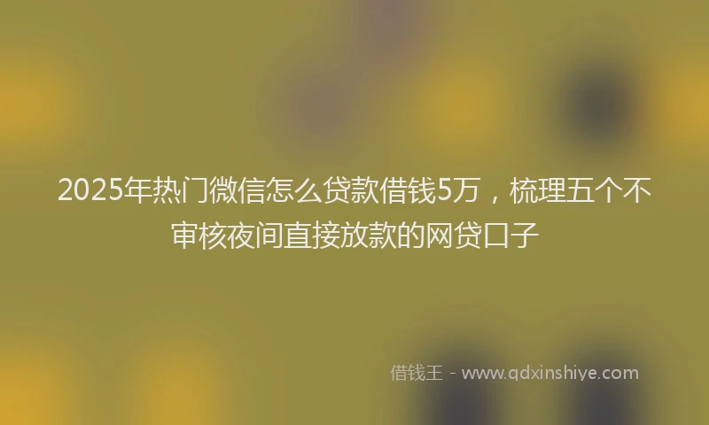 2025年热门微信怎么贷款借钱5万，梳理五个不审核夜间直接放款的网贷口子