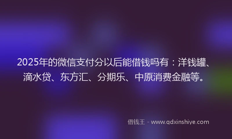 2025年的微信支付分以后能借钱吗有：洋钱罐、滴水贷、东方汇、分期乐、中原消费金融等。