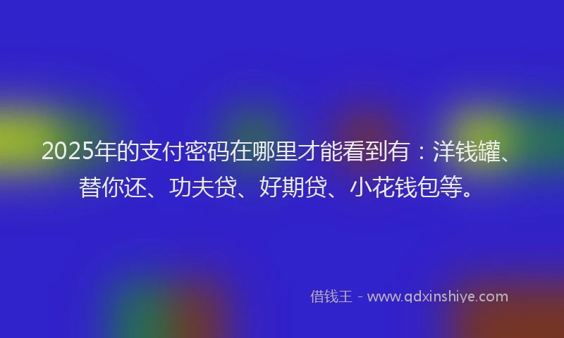 2025年的支付密码在哪里才能看到有：洋钱罐、替你还、功夫贷、好期贷、小花钱包等。
