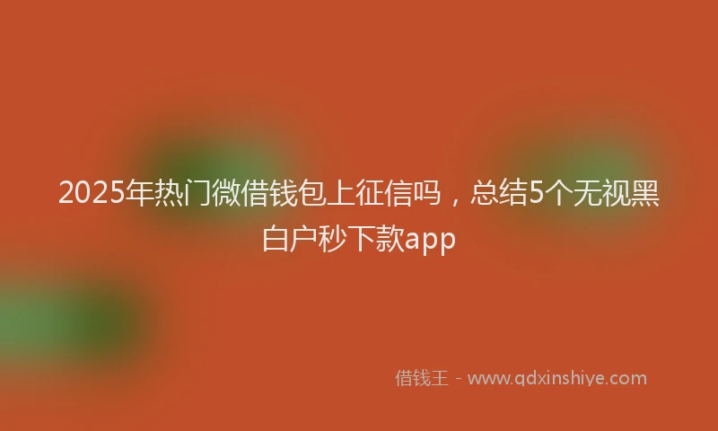 2025年热门微借钱包上征信吗，总结5个无视黑白户秒下款app
