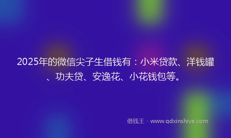 2025年的微信尖子生借钱有：小米贷款、洋钱罐、功夫贷、安逸花、小花钱包等。