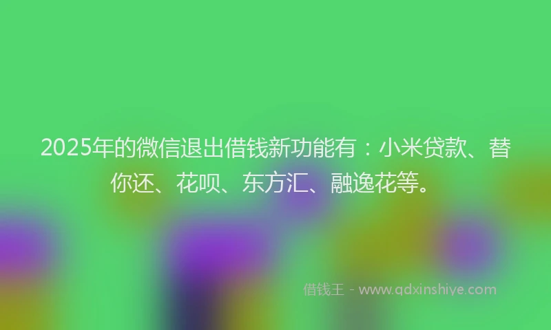 2025年的微信退出借钱新功能有：小米贷款、替你还、花呗、东方汇、融逸花等。