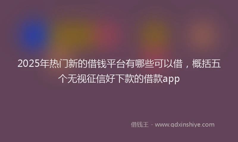 2025年热门新的借钱平台有哪些可以借，概括五个无视征信好下款的借款app