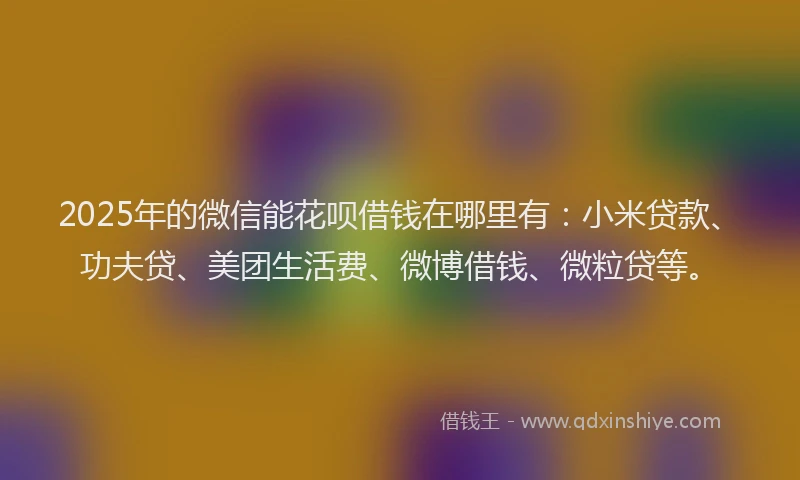 2025年的微信能花呗借钱在哪里有：小米贷款、功夫贷、美团生活费、微博借钱、微粒贷等。