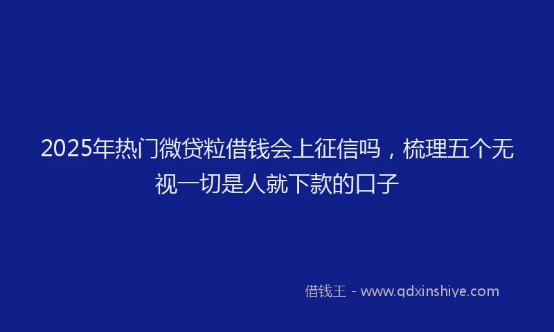 2025年热门微贷粒借钱会上征信吗，梳理五个无视一切是人就下款的口子