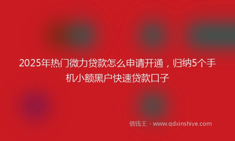 2025年热门微力贷款怎么申请开通，归纳5个手机小额黑户快速贷款口子