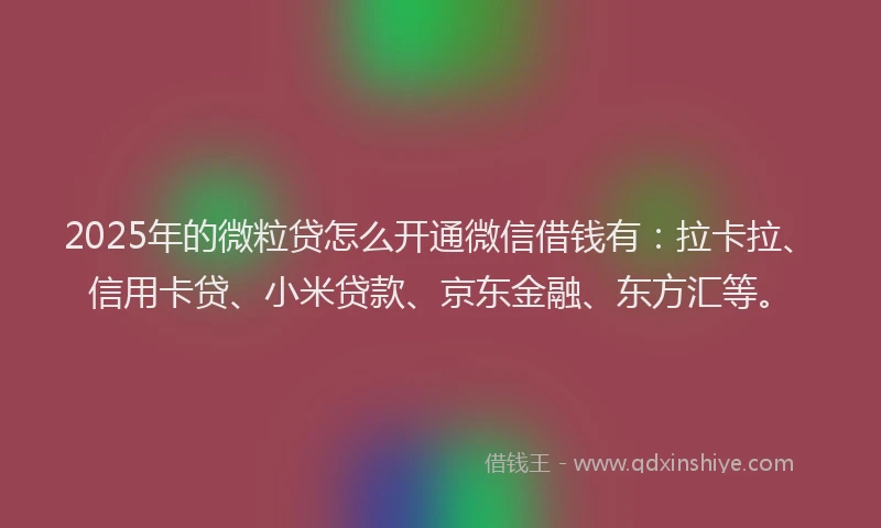 2025年的微粒贷怎么开通微信借钱有：拉卡拉、信用卡贷、小米贷款、京东金融、东方汇等。