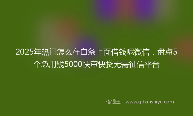 2025年热门怎么在白条上面借钱呢微信，盘点5个急用钱5000快审快贷无需征信平台