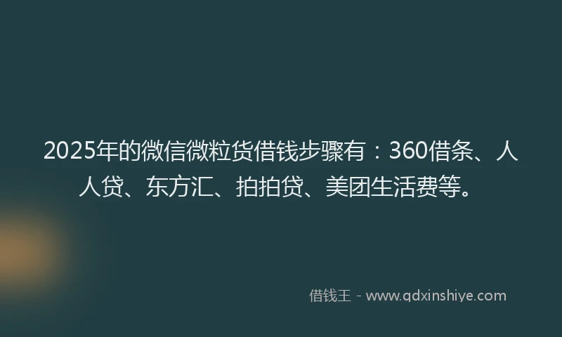 2025年的微信微粒货借钱步骤有：360借条、人人贷、东方汇、拍拍贷、美团生活费等。