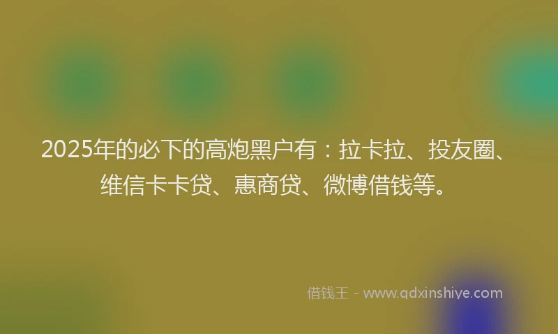2025年的必下的高炮黑户有：拉卡拉、投友圈、维信卡卡贷、惠商贷、微博借钱等。