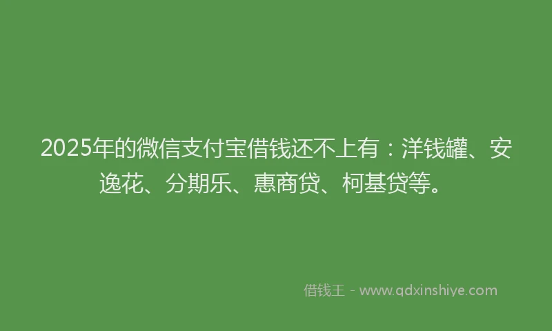 2025年的微信支付宝借钱还不上有：洋钱罐、安逸花、分期乐、惠商贷、柯基贷等。