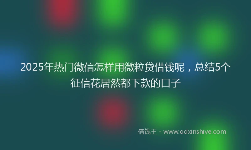 2025年热门微信怎样用微粒贷借钱呢，总结5个征信花居然都下款的口子
