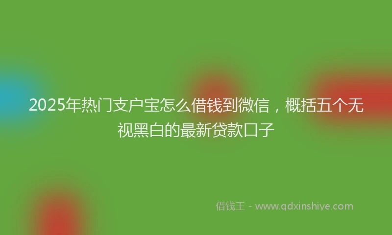 2025年热门支户宝怎么借钱到微信，概括五个无视黑白的最新贷款口子