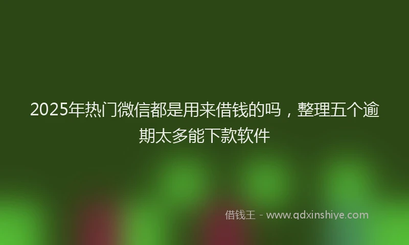 2025年热门微信都是用来借钱的吗，整理五个逾期太多能下款软件
