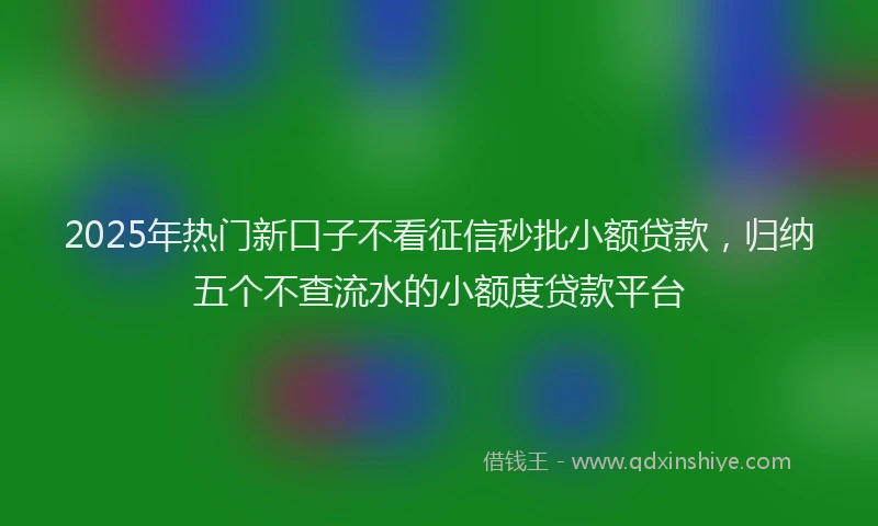 2025年热门新口子不看征信秒批小额贷款，归纳五个不查流水的小额度贷款平台