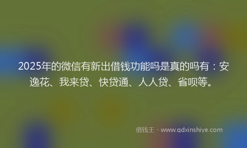 2025年的微信有新出借钱功能吗是真的吗有：安逸花、我来贷、快贷通、人人贷、省呗等。