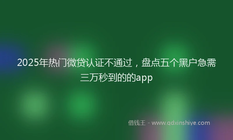 2025年热门微贷认证不通过，盘点五个黑户急需三万秒到的的app