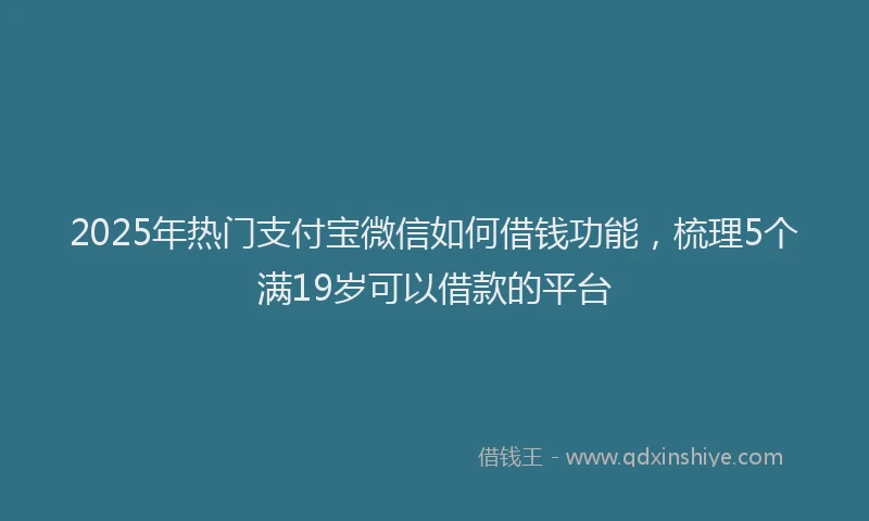 2025年热门支付宝微信如何借钱功能，梳理5个满19岁可以借款的平台