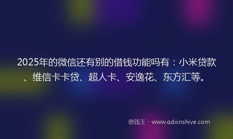 2025年的微信还有别的借钱功能吗有：小米贷款、维信卡卡贷、超人卡、安逸花、东方汇等。