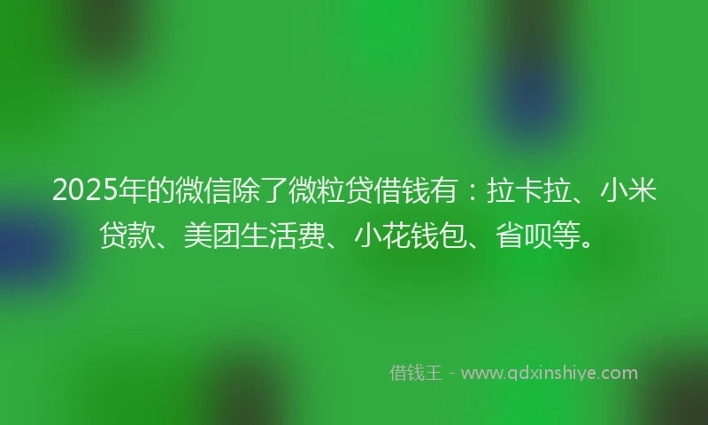 2025年的微信除了微粒贷借钱有：拉卡拉、小米贷款、美团生活费、小花钱包、省呗等。