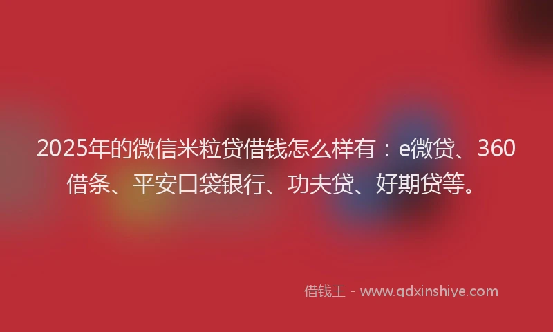 2025年的微信米粒贷借钱怎么样有：e微贷、360借条、平安口袋银行、功夫贷、好期贷等。