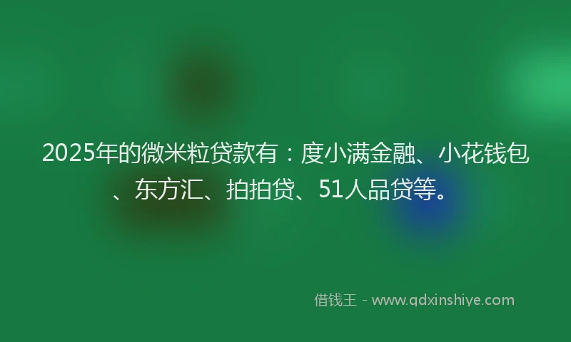 2025年的微米粒贷款有：度小满金融、小花钱包、东方汇、拍拍贷、51人品贷等。