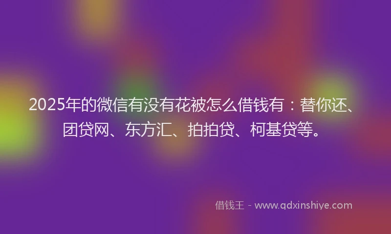 2025年的微信有没有花被怎么借钱有：替你还、团贷网、东方汇、拍拍贷、柯基贷等。
