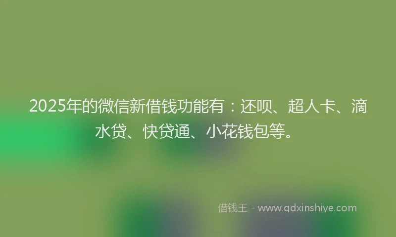 2025年的微信新借钱功能有：还呗、超人卡、滴水贷、快贷通、小花钱包等。