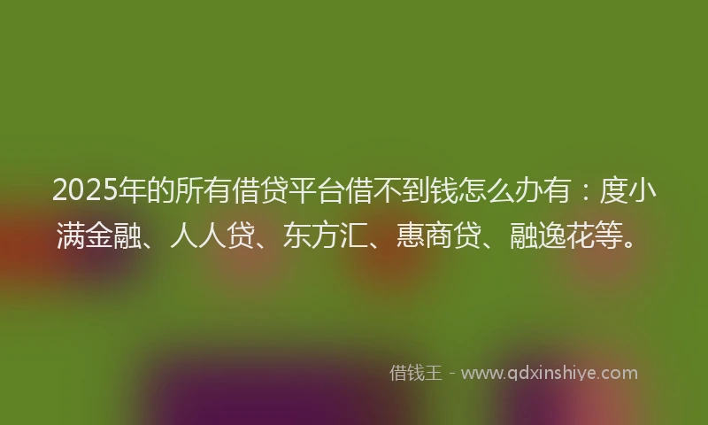 2025年的所有借贷平台借不到钱怎么办有：度小满金融、人人贷、东方汇、惠商贷、融逸花等。