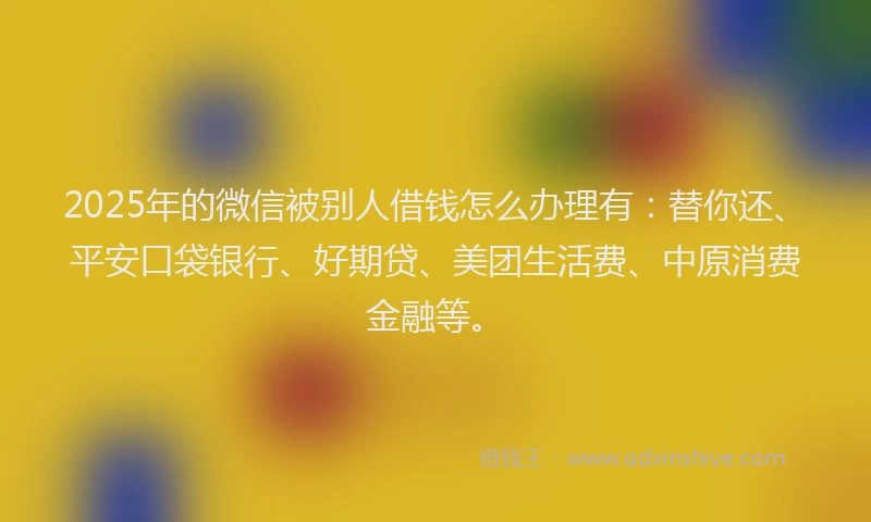2025年的微信被别人借钱怎么办理有：替你还、平安口袋银行、好期贷、美团生活费、中原消费金融等。