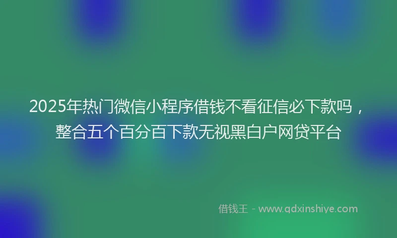 2025年热门微信小程序借钱不看征信必下款吗，整合五个百分百下款无视黑白户网贷平台