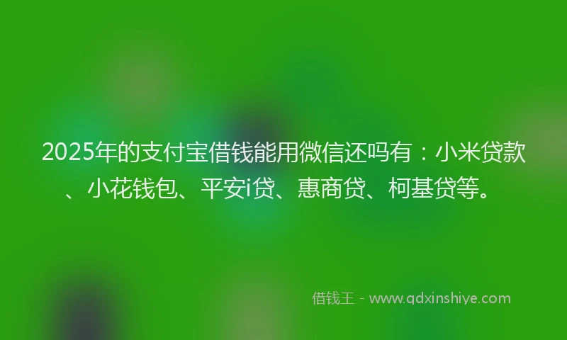 2025年的支付宝借钱能用微信还吗有：小米贷款、小花钱包、平安i贷、惠商贷、柯基贷等。