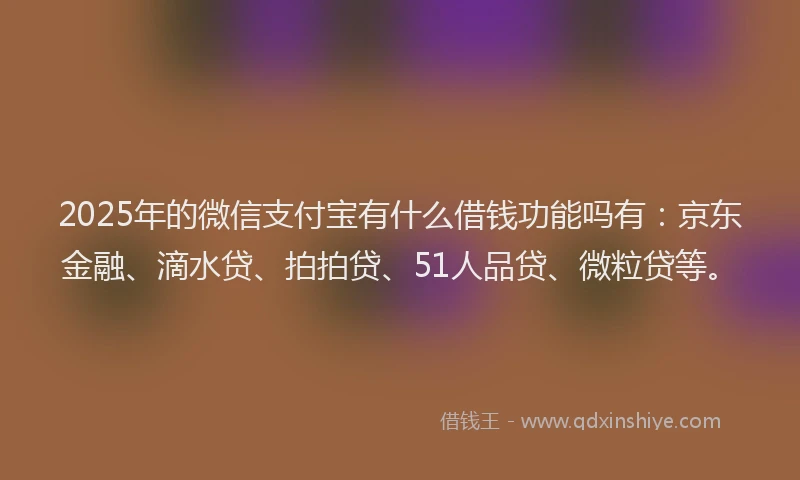 2025年的微信支付宝有什么借钱功能吗有：京东金融、滴水贷、拍拍贷、51人品贷、微粒贷等。