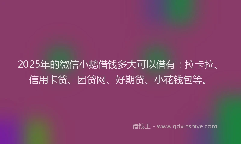 2025年的微信小鹅借钱多大可以借有：拉卡拉、信用卡贷、团贷网、好期贷、小花钱包等。