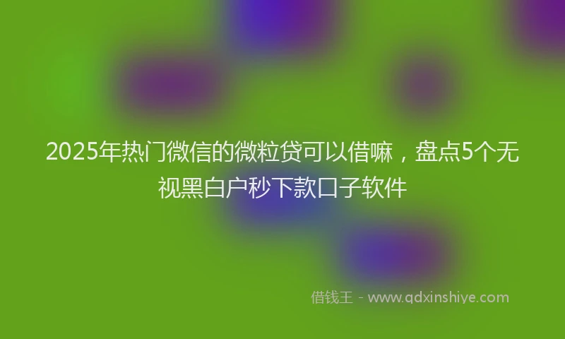 2025年热门微信的微粒贷可以借嘛，盘点5个无视黑白户秒下款口子软件