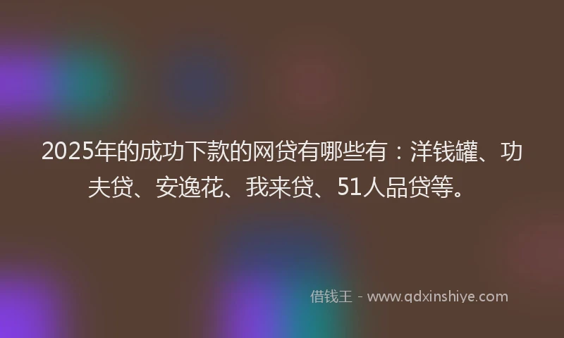 2025年的成功下款的网贷有哪些有：洋钱罐、功夫贷、安逸花、我来贷、51人品贷等。