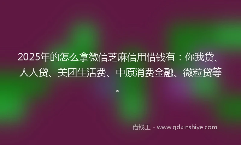 2025年的怎么拿微信芝麻信用借钱有：你我贷、人人贷、美团生活费、中原消费金融、微粒贷等。