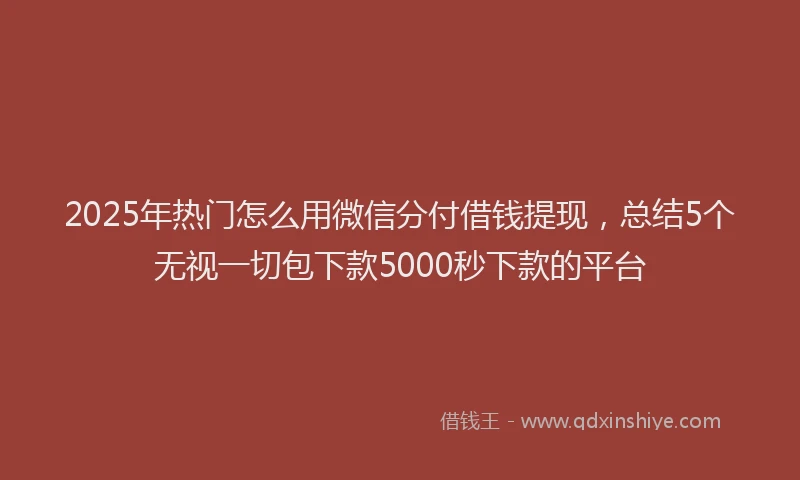 2025年热门怎么用微信分付借钱提现，总结5个无视一切包下款5000秒下款的平台