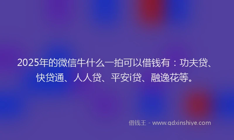 2025年的微信牛什么一拍可以借钱有：功夫贷、快贷通、人人贷、平安i贷、融逸花等。