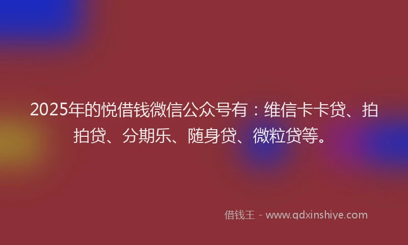2025年的悦借钱微信公众号有：维信卡卡贷、拍拍贷、分期乐、随身贷、微粒贷等。