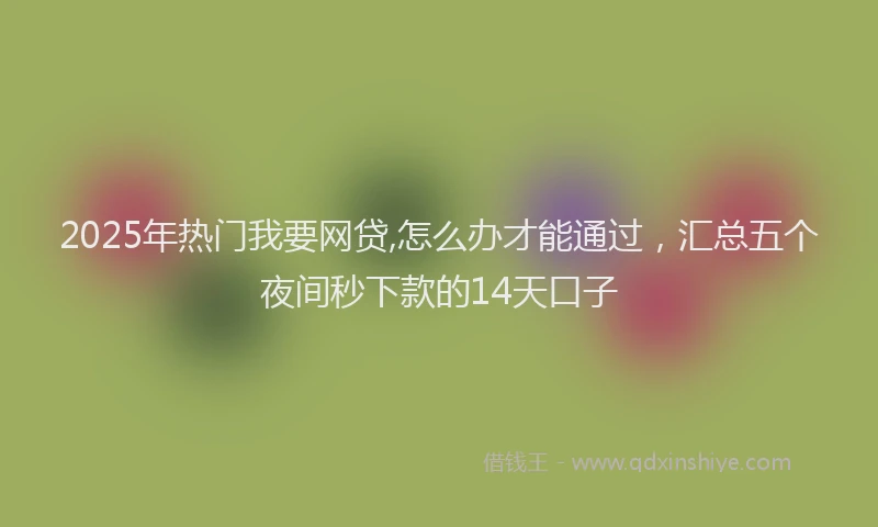 2025年热门我要网贷,怎么办才能通过，汇总五个夜间秒下款的14天口子