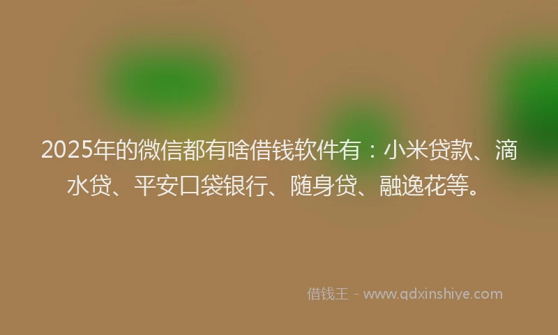 2025年的微信都有啥借钱软件有：小米贷款、滴水贷、平安口袋银行、随身贷、融逸花等。