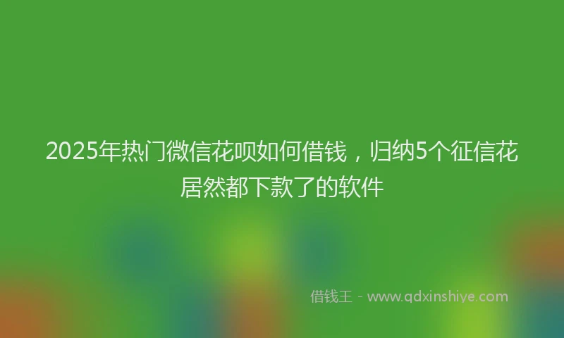 2025年热门微信花呗如何借钱，归纳5个征信花居然都下款了的软件