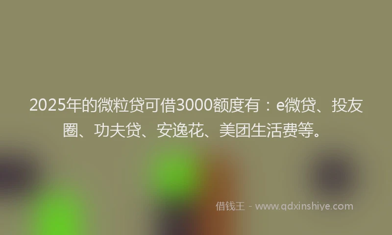 2025年的微粒贷可借3000额度有：e微贷、投友圈、功夫贷、安逸花、美团生活费等。