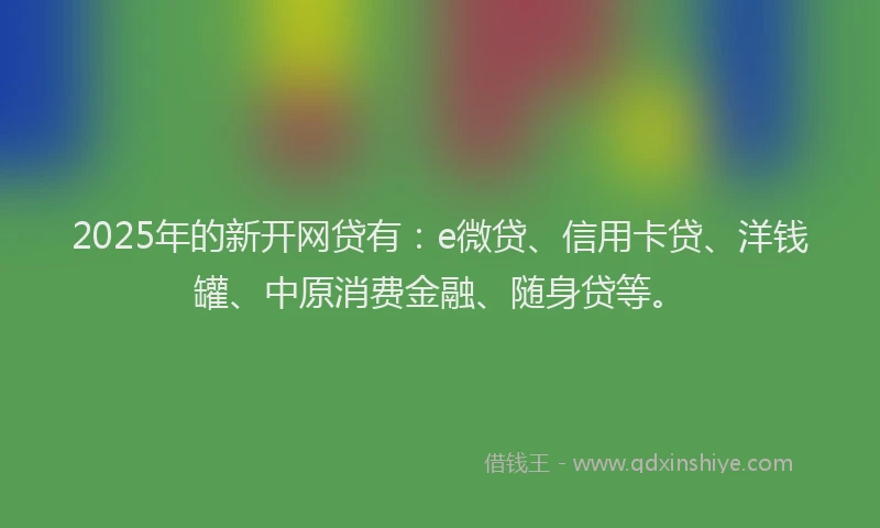 2025年的新开网贷有：e微贷、信用卡贷、洋钱罐、中原消费金融、随身贷等。